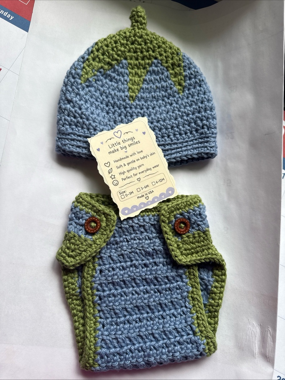 Handmade Baby Blue and Green Crochet Hat & Diaper Cover Set/blueberry fruit set